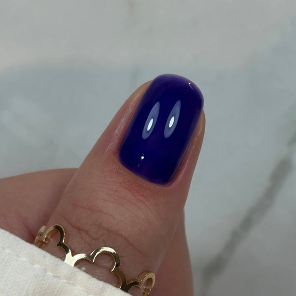 Builder Gel BBIO, Blue Berry, Didier Lab