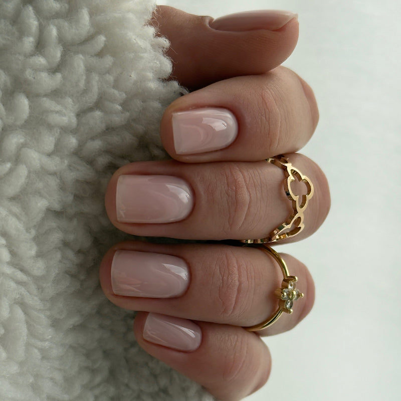 Builder Gel BBIO, Natural Rose, Didier Lab