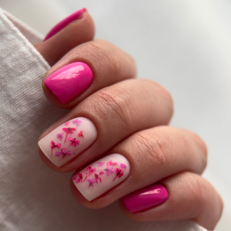 Builder Gel BBIO, Pink Dynamic, Didier Lab