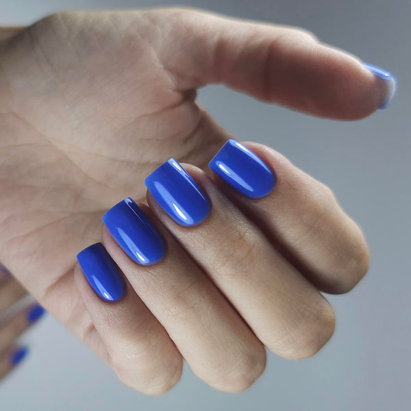 Builder Gel BBIO, Rich Blue, Didier Lab