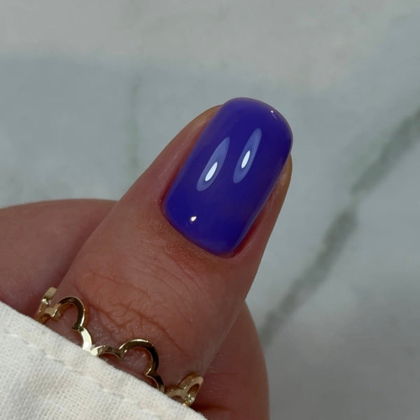 Builder Gel BBIO, Violet Iris, Didier Lab