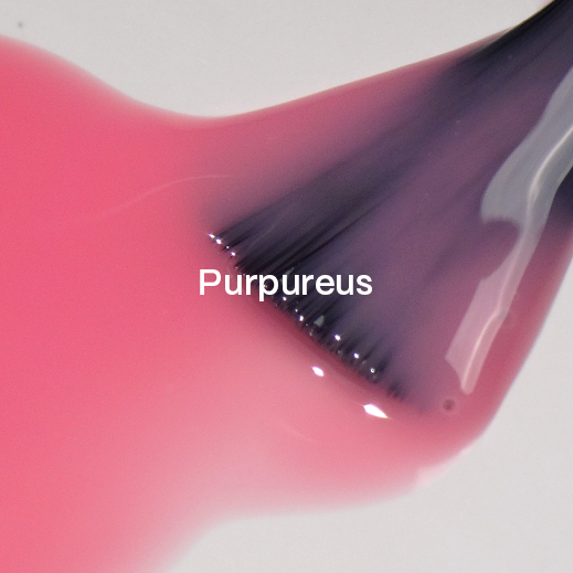 Gelinis lakas Purpureus, Didier Lab