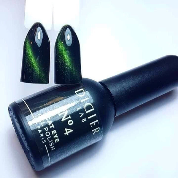 "Didier Lab" efektinis gelinis lakas "Cat eye", No4