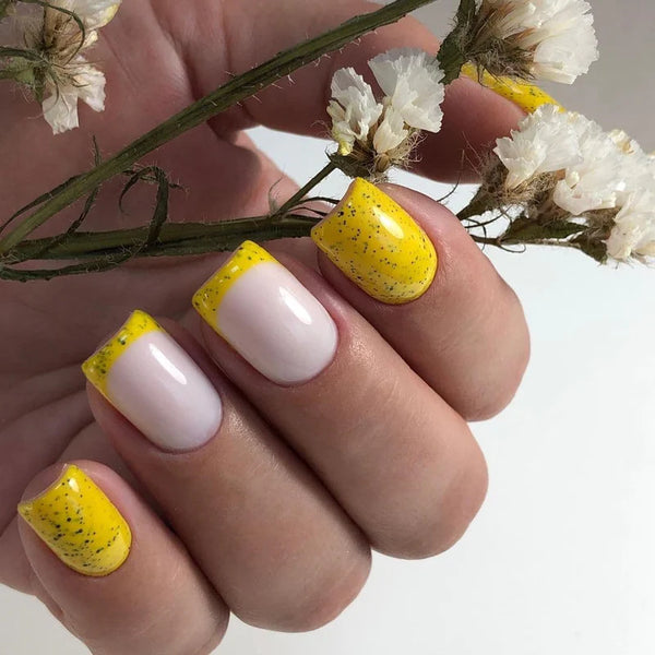 Gelinis lakas Macarons Lemon Ice Cream, Didier Lab